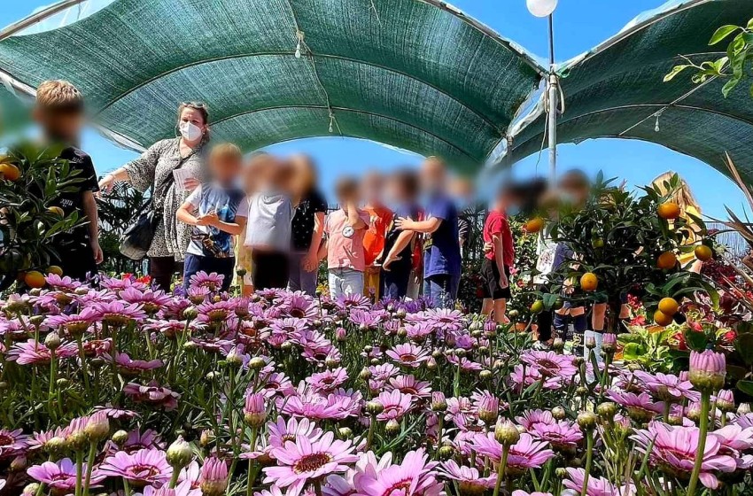 Τα νηπιάκια πάνε στην Ανθοκομική Έκθεση Καλαμαριάς!