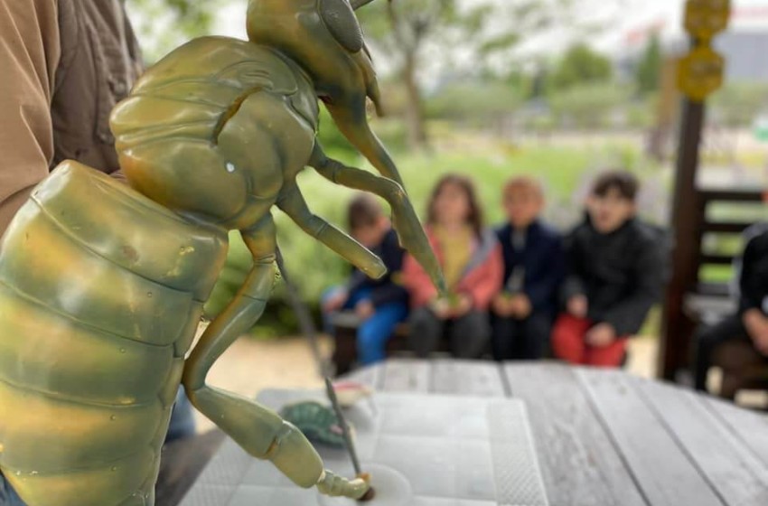 Ένας υπέροχος κόσμος, ο κόσμος της μέλισσας!