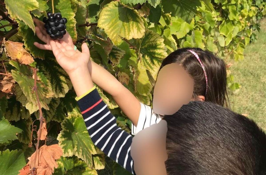 Φθινόπωρο... η εποχή των σταφυλιών!