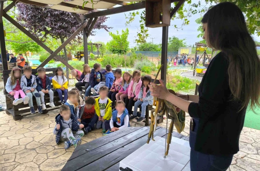 Εξερευνήσαμε τον κόσμο των εντόμων