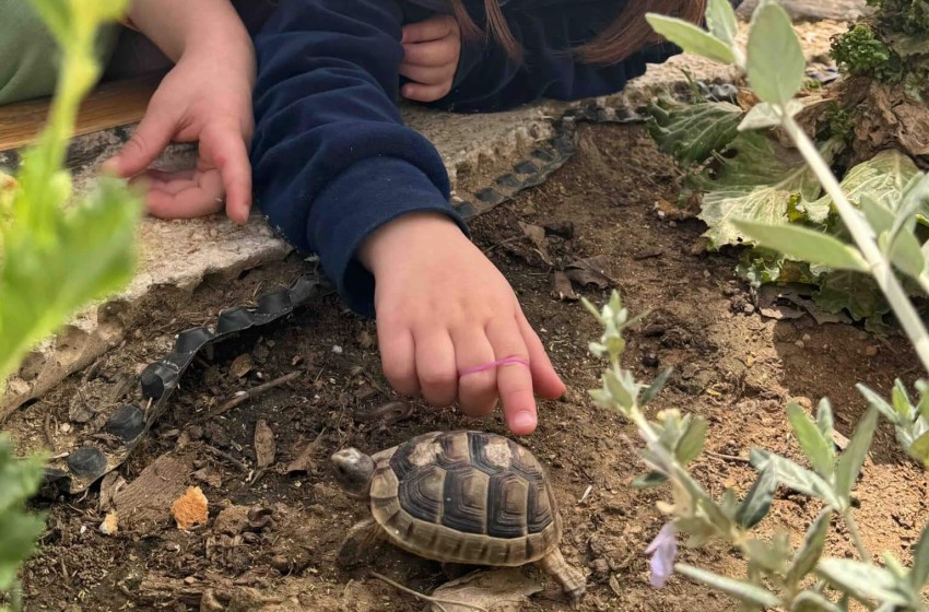 Μια ευχάριστη επισκέπτρια